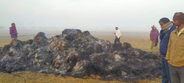 सितलपुरमा रामानन्द यादवको २ बिगहा खेतको धानको भारिमा आगजनी लाखौंको क्षति ।