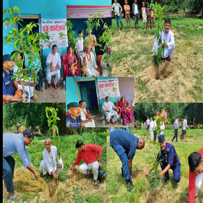 परोहाले पर्यावरण संरक्षणका लागि ७ सय फलफूलका विरूवाको वृक्षारोपण ।